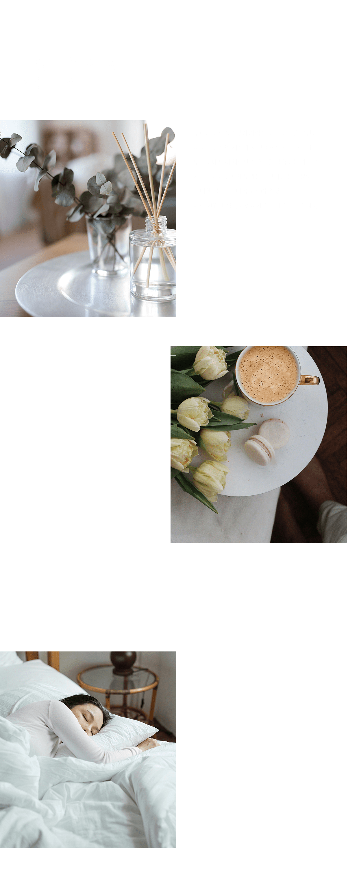 2브랜드소개